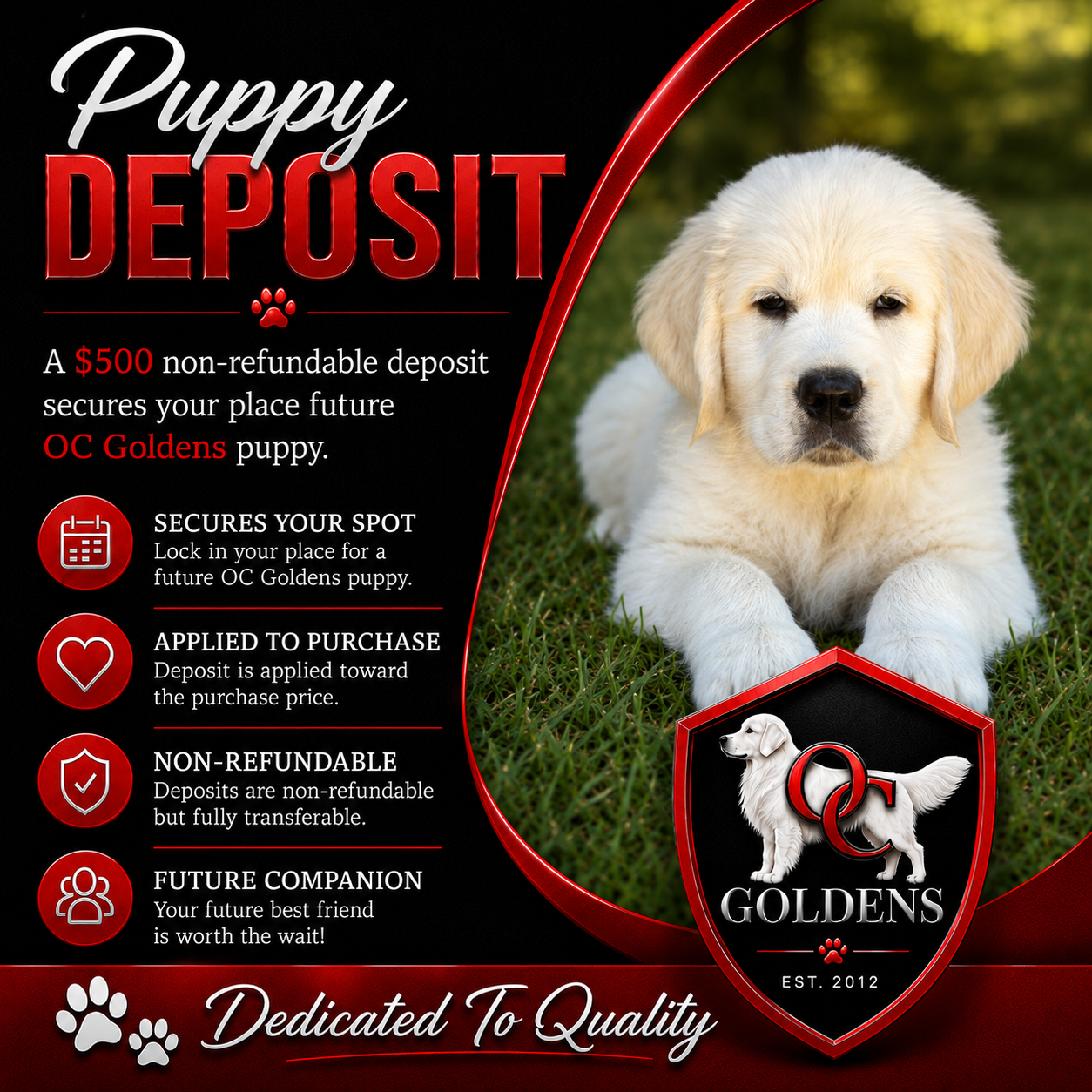 OC Goldens Puppy Deposit