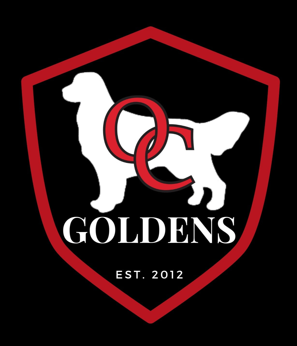 OC Goldens - English Cream Golden Retrievers