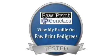 View My Profile On Paw Print Pedigrees