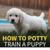 How to potty training puppy and to crate training