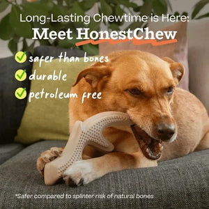 Woof, HonestChew Antler