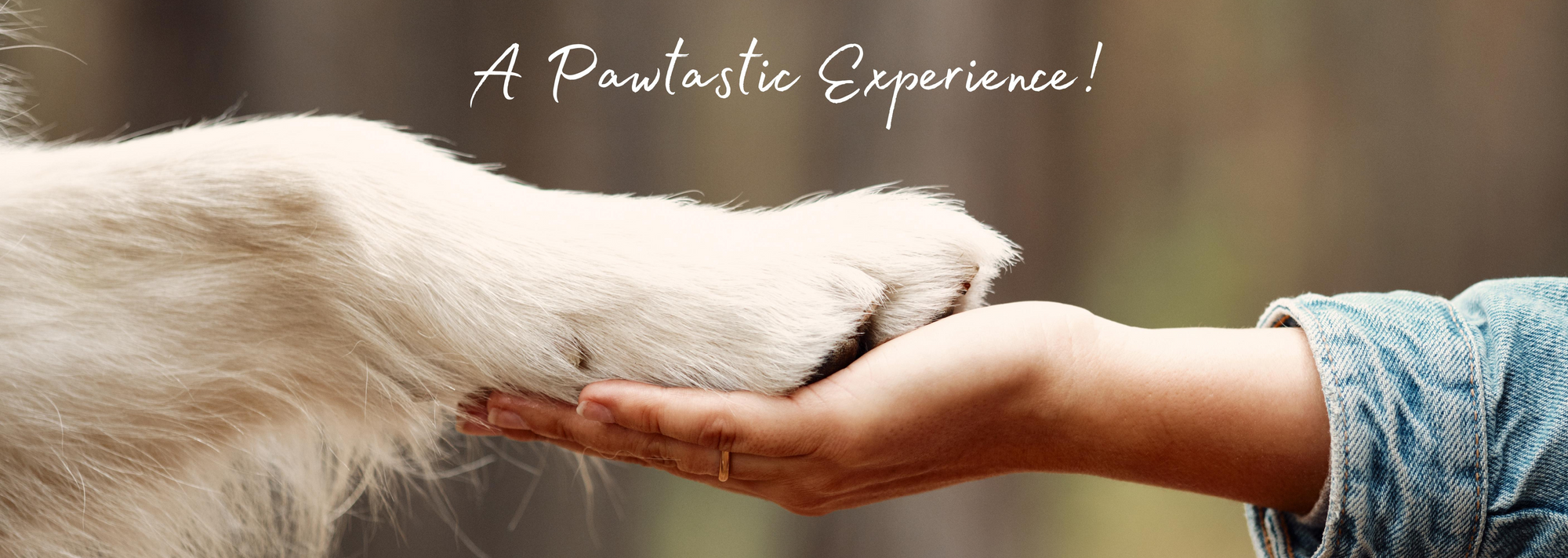 A Pawtastic Experience!