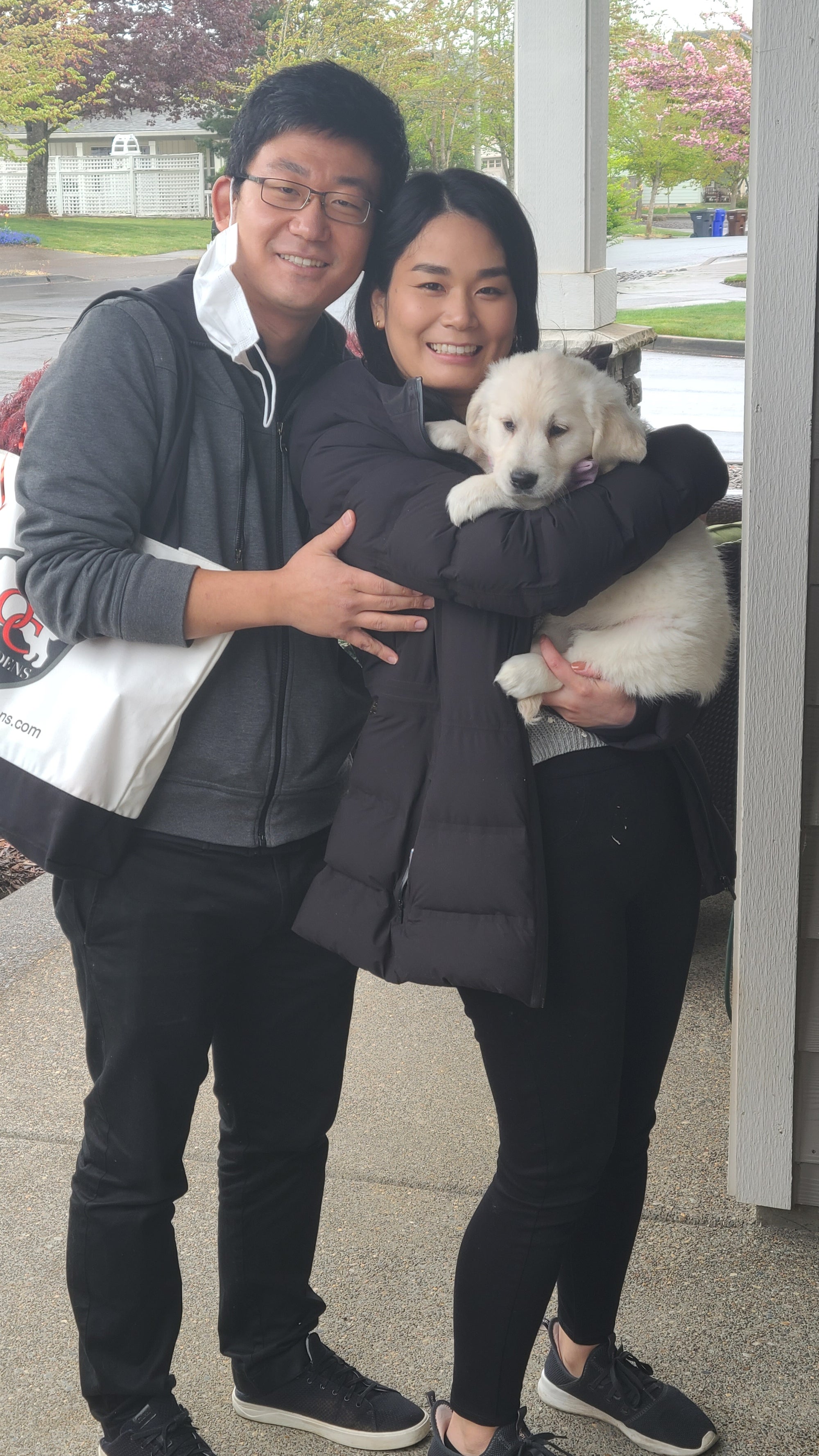 Oc goldens newest parents