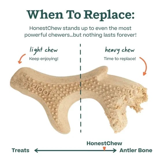 Woof, HonestChew Antler