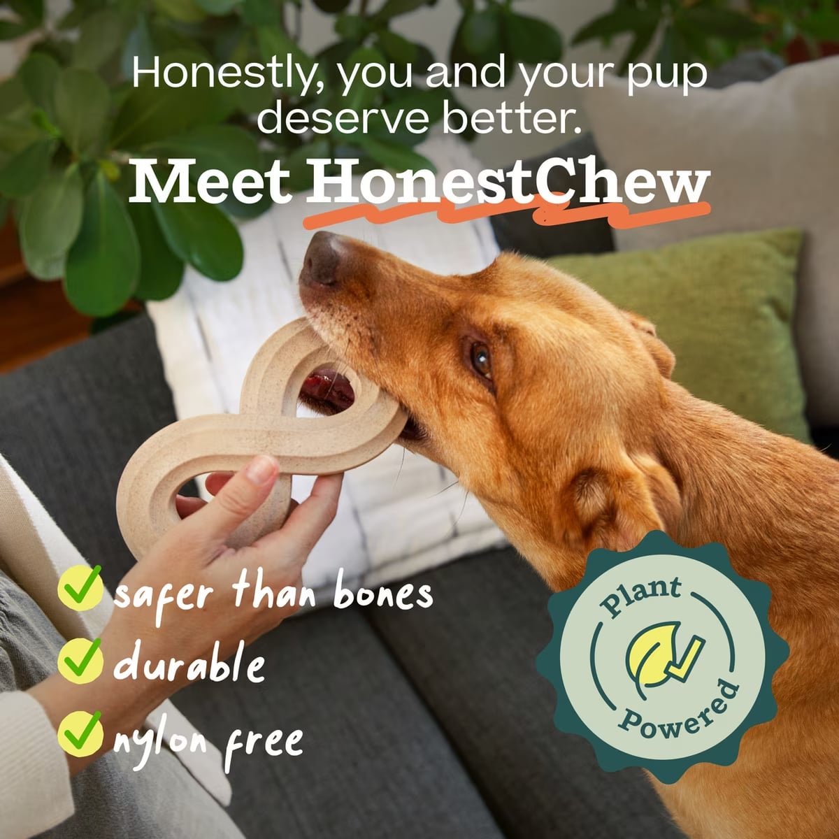 Woof, HonestChew Infinity