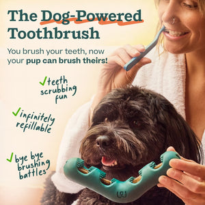 Woof, Bite n' Brush
