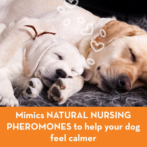 Calming Pheromone Diffuser Kit