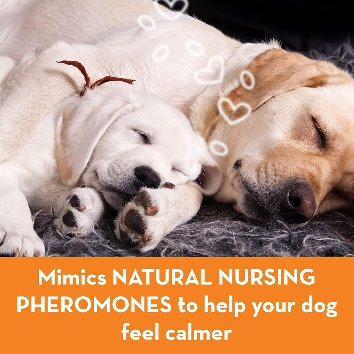 Calming Pheromone Diffuser Refill