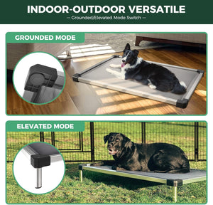 Elevated Dog Bed