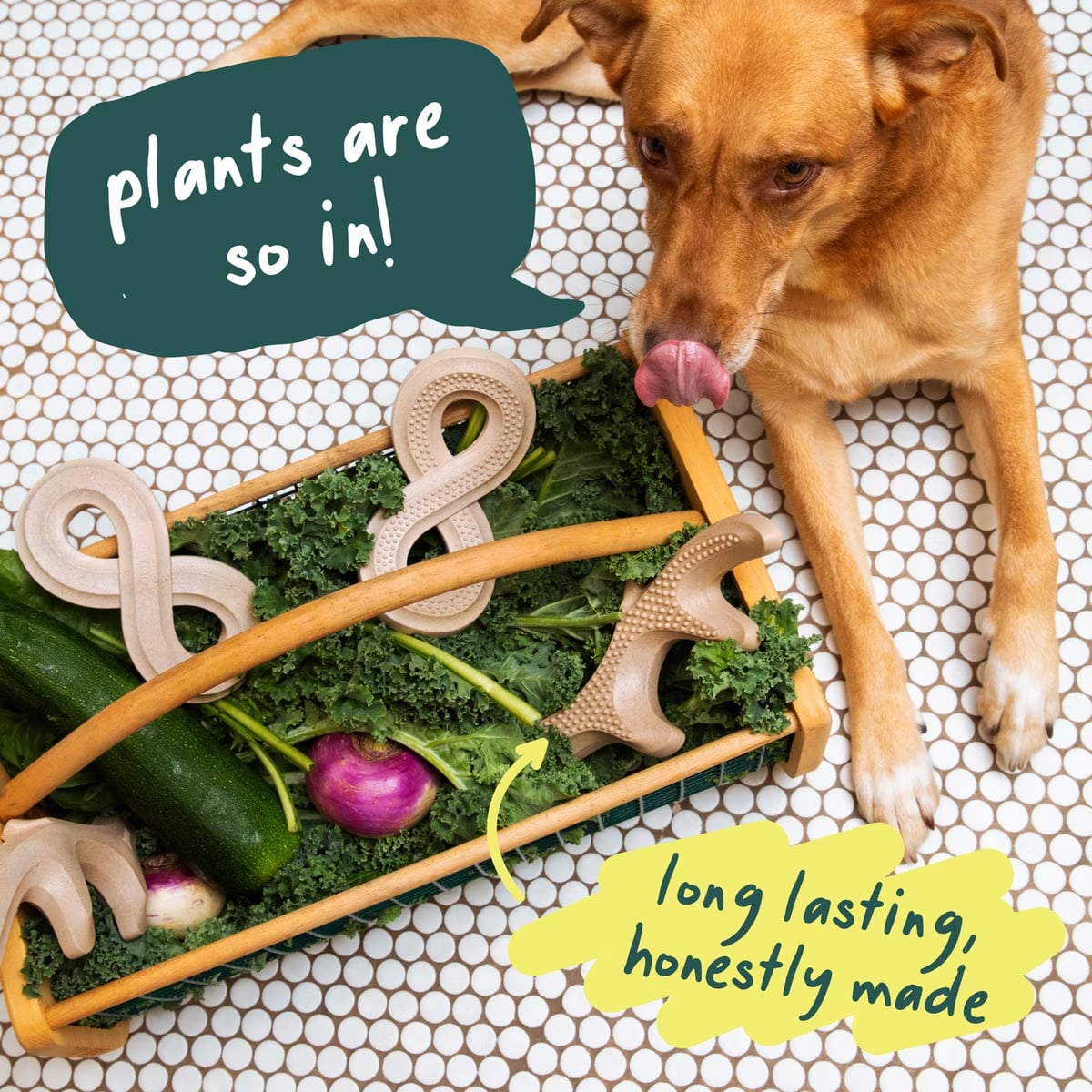 Woof, HonestChew Infinity