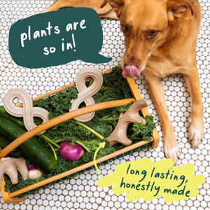 Woof, HonestChew Infinity