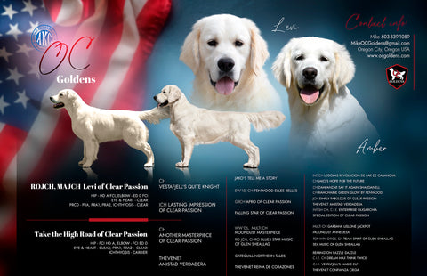 Image for Planned Litters