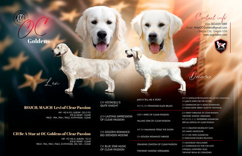 Image for Planned Litters