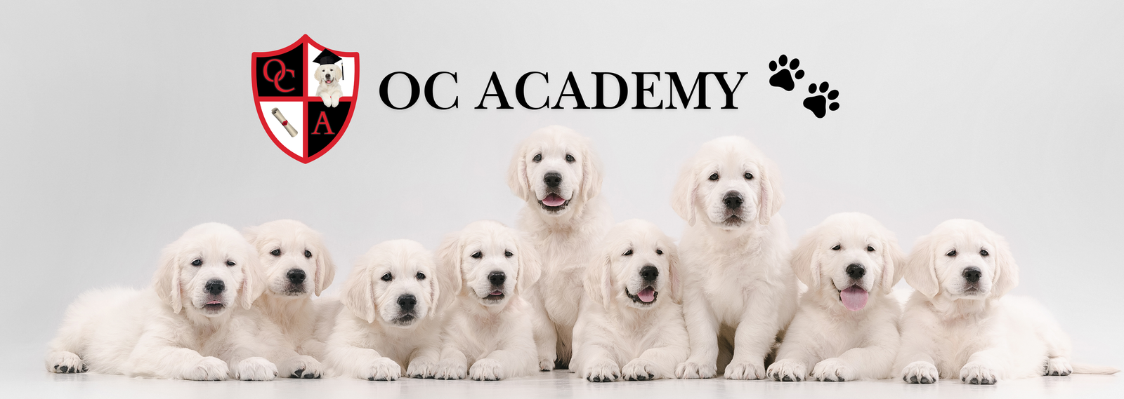 Academy
