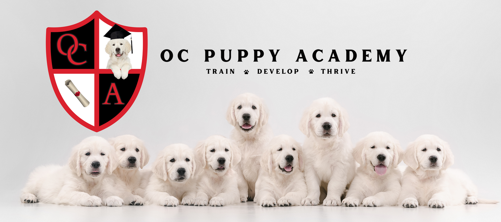 Academy