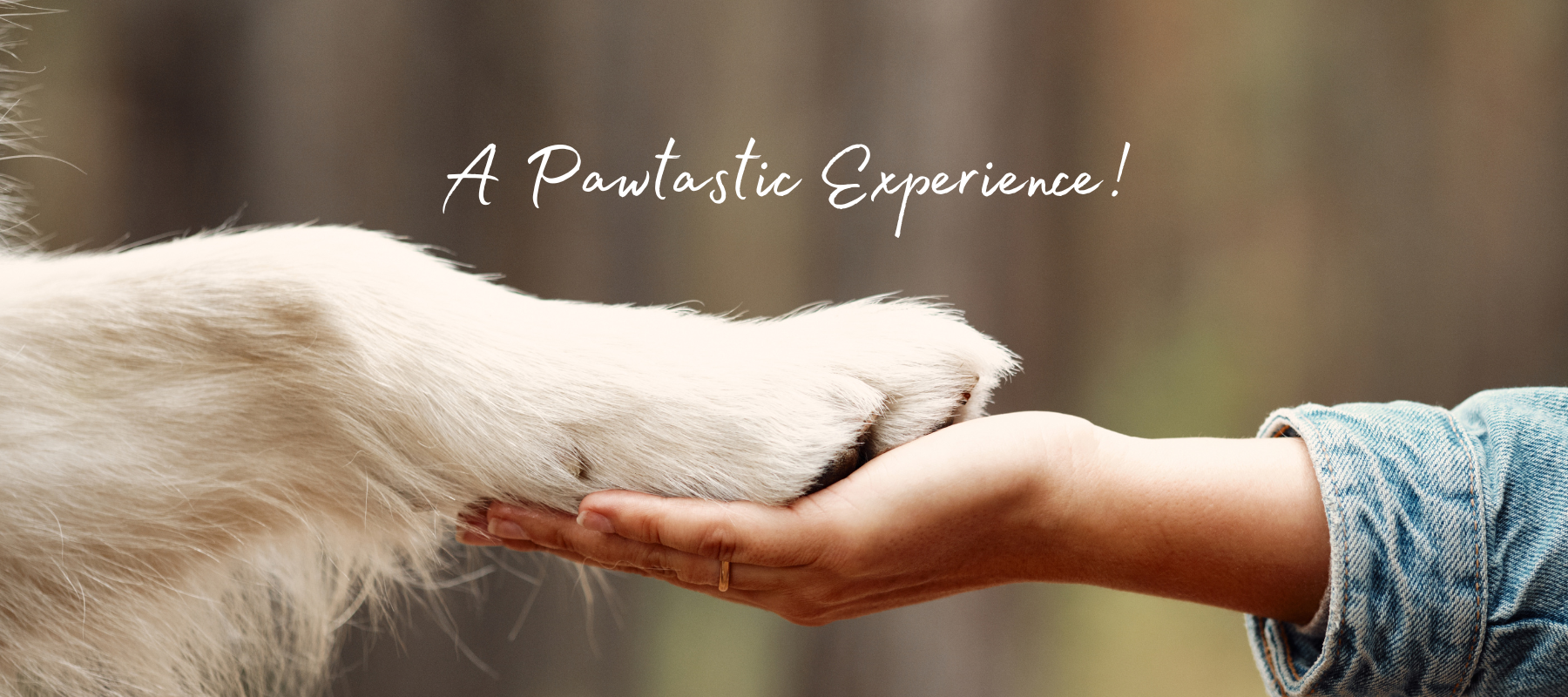 Pawtastic exspirence