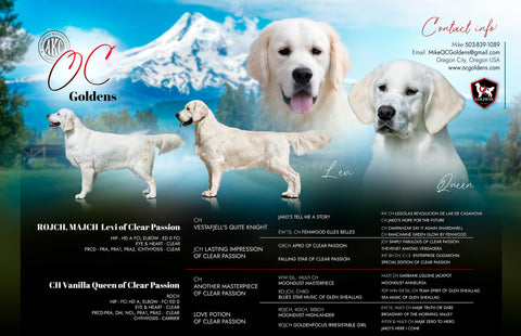 Image for Planned Litters