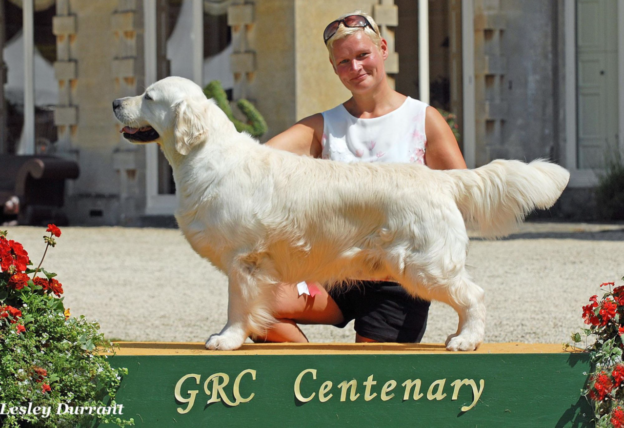 Queen's Great Grand Sire: Nigel EW'15, Multi Ch. Majik Truth Or Dare NL/D/VDH/LUX/INT/SE/DK BDSG '10, Am.Winner '10 Dutch, German, VDH & Int. Sh.Ch, Multi Jr. Ch.