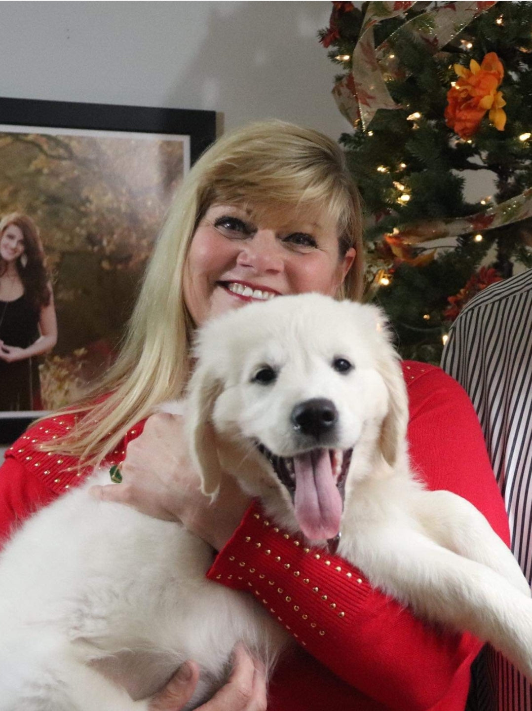 Oc goldens newest parents