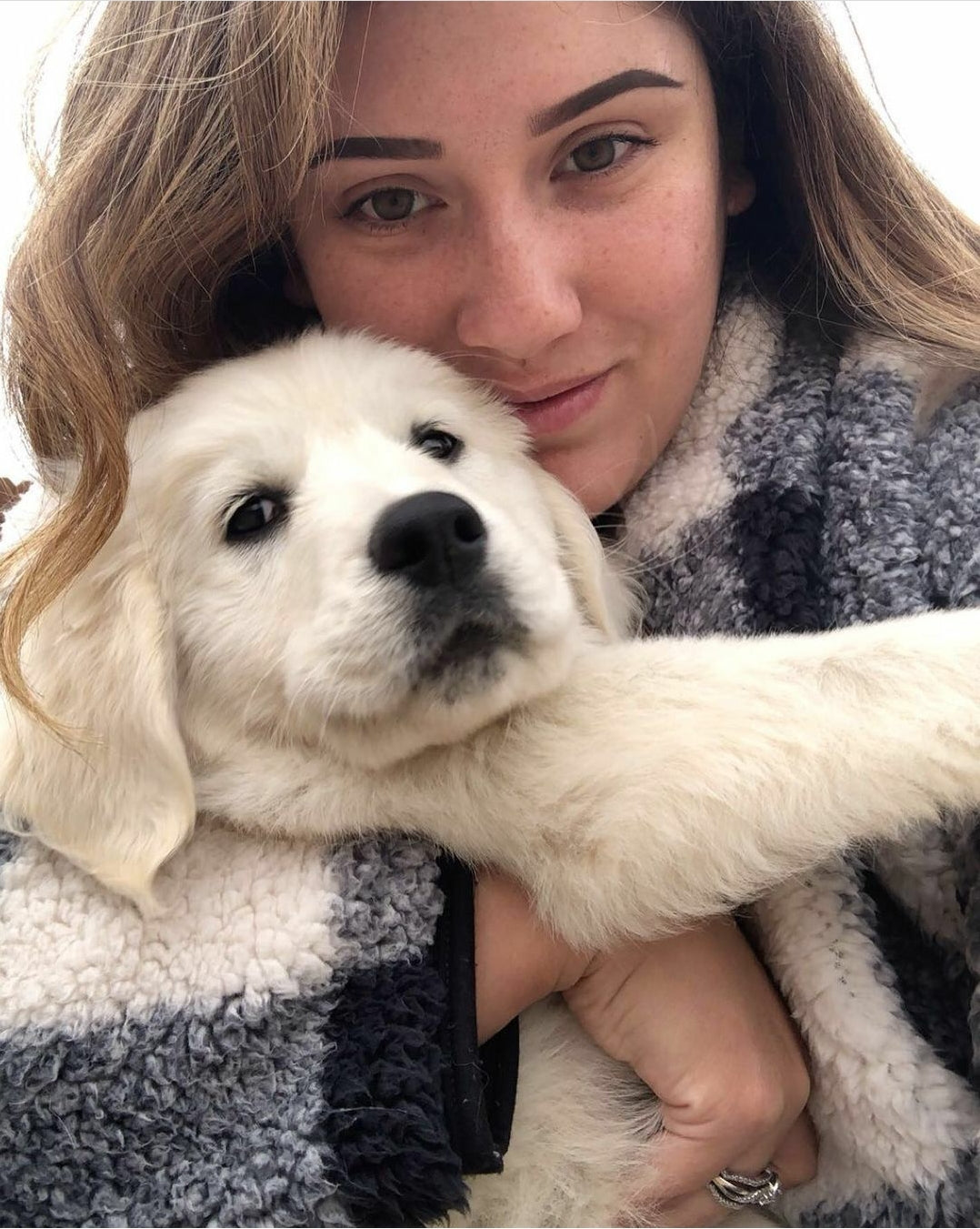 Oc goldens newest parents