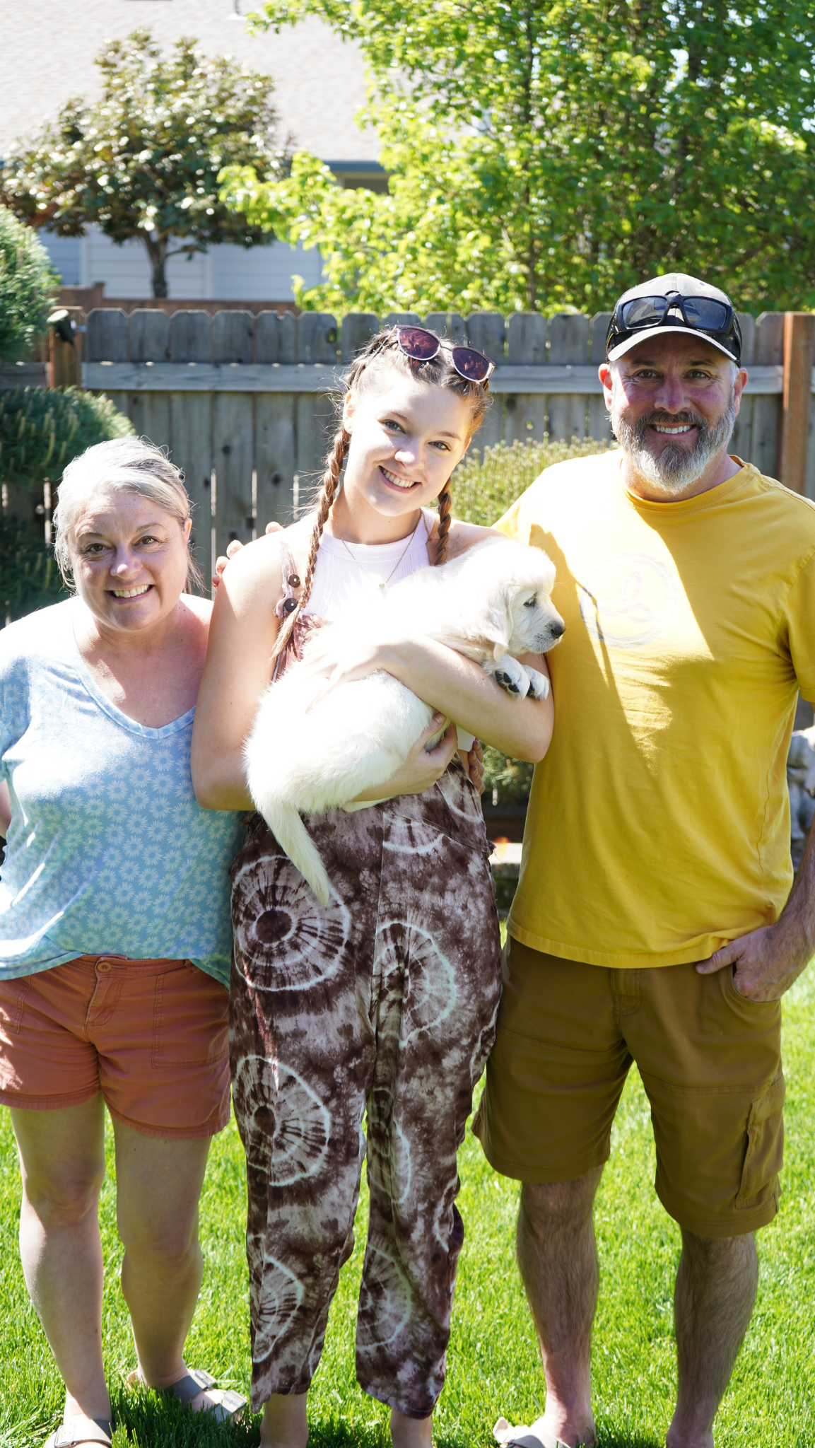 OC Goldens - English Cream Golden Retrievers
