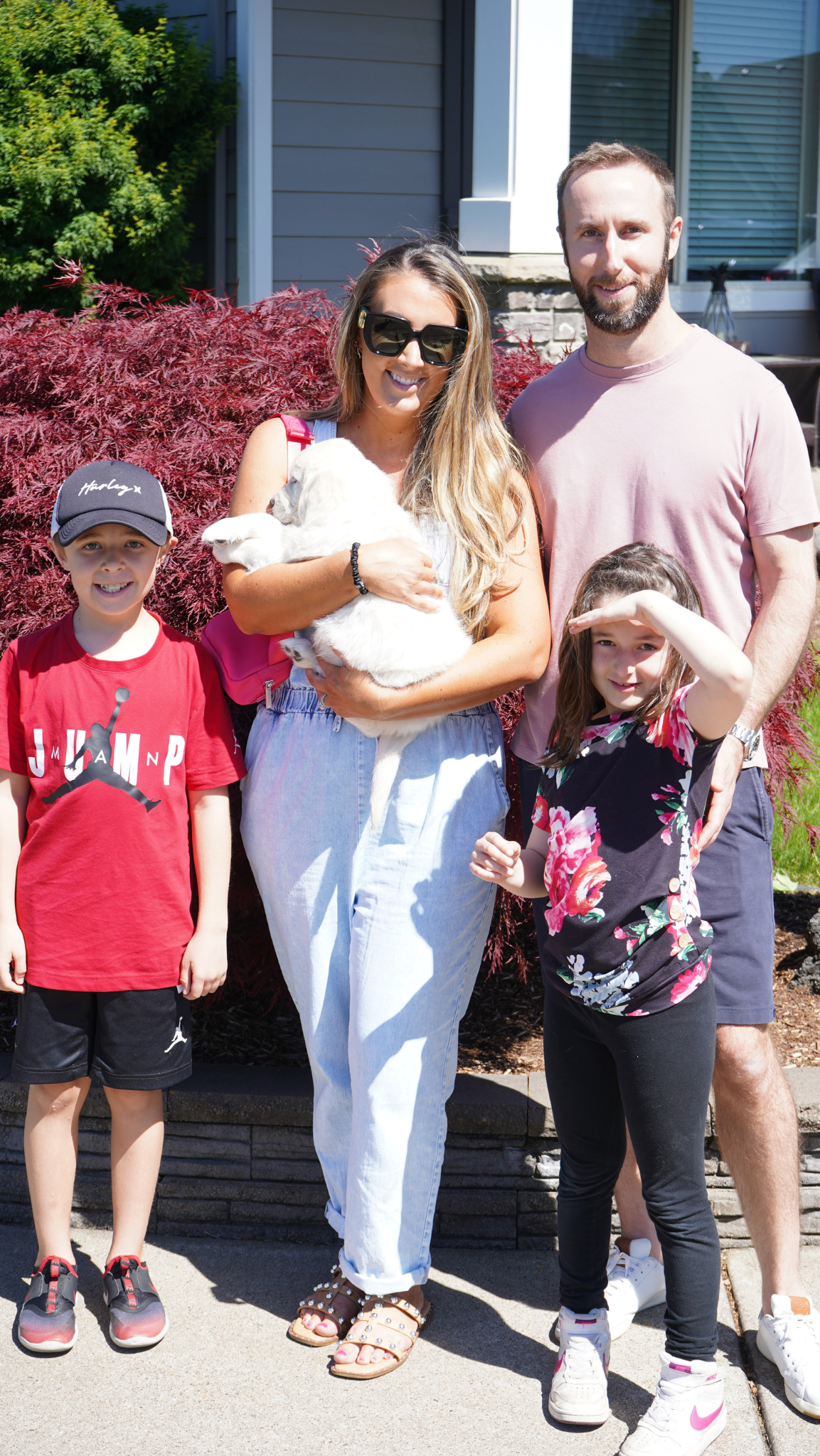 OC Goldens - English Cream Golden Retrievers
