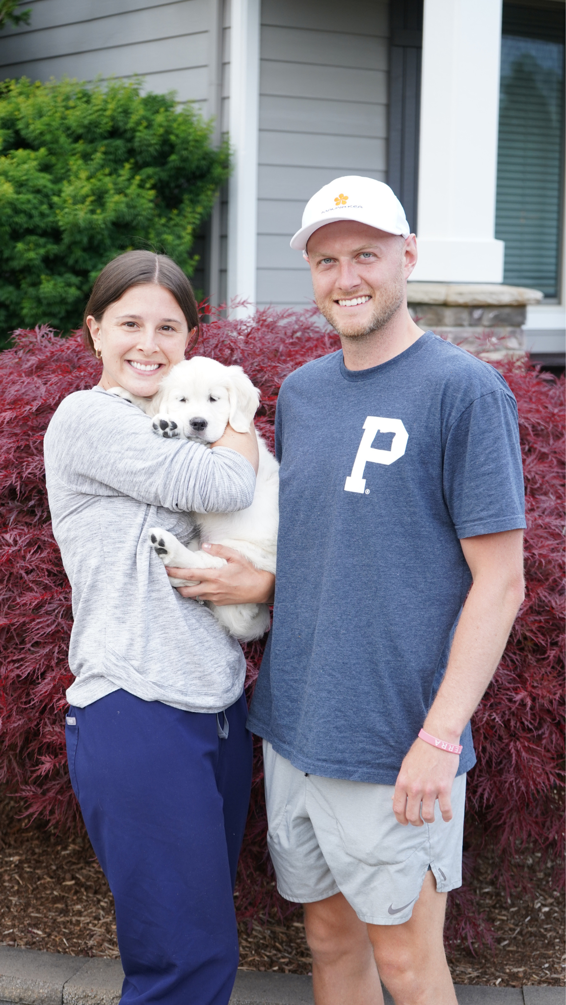 OC Goldens - English Cream Golden Retrievers
