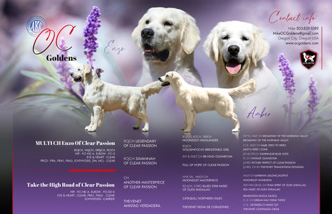 Image for Planned Litters