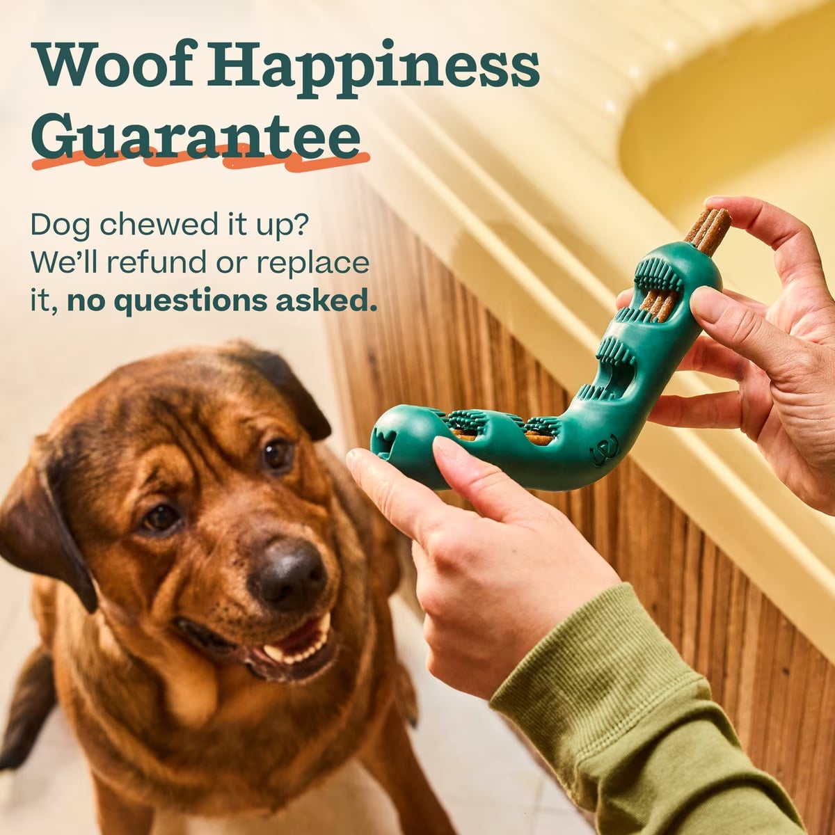 Woof, Bite n' Brush
