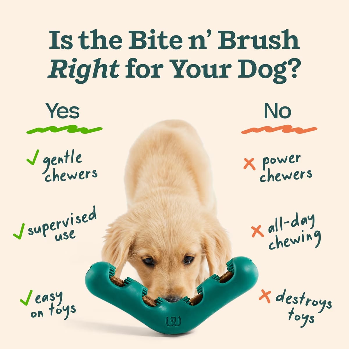 Woof, Bite n' Brush