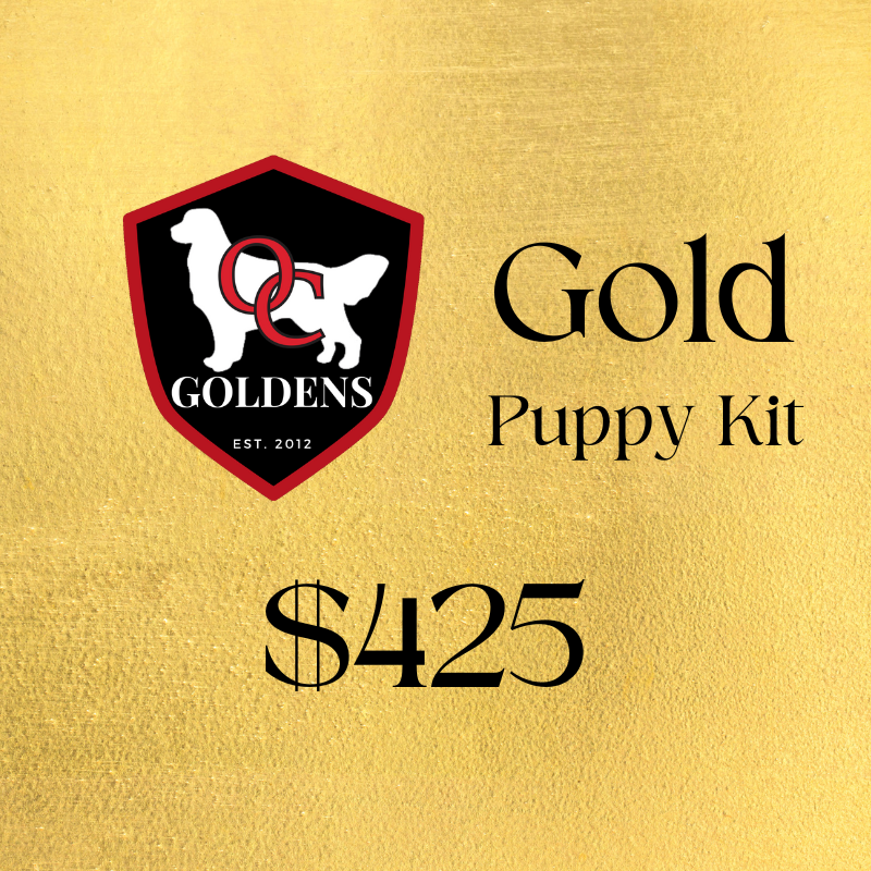 Gold - Puppy Kit