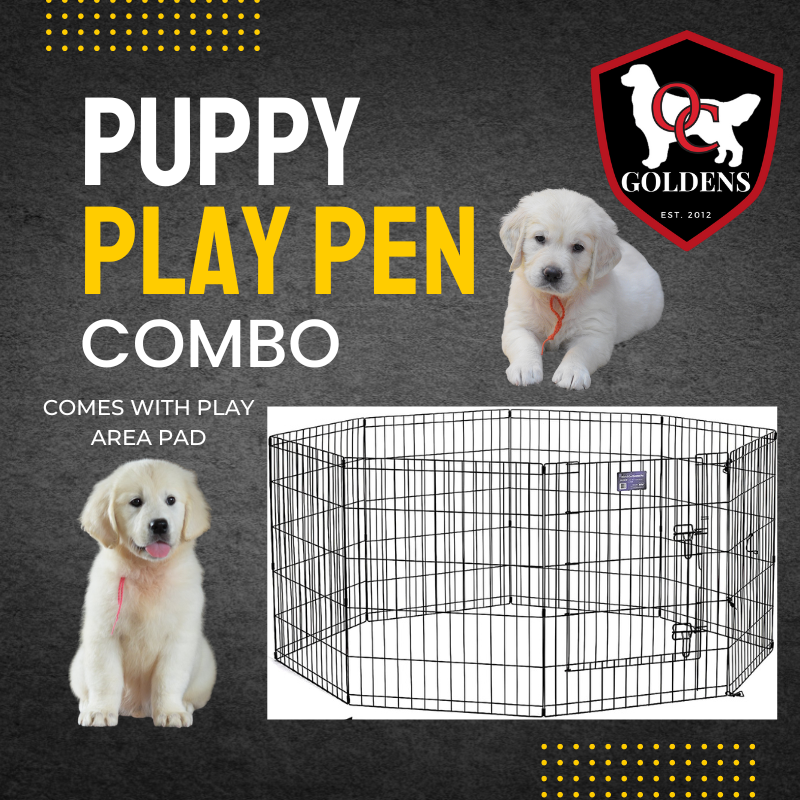 Puppy Exercise Play Pen Combo